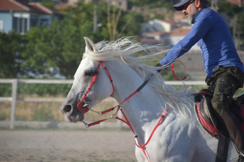 A spor yorumcuları hangi takımı tutuyor?