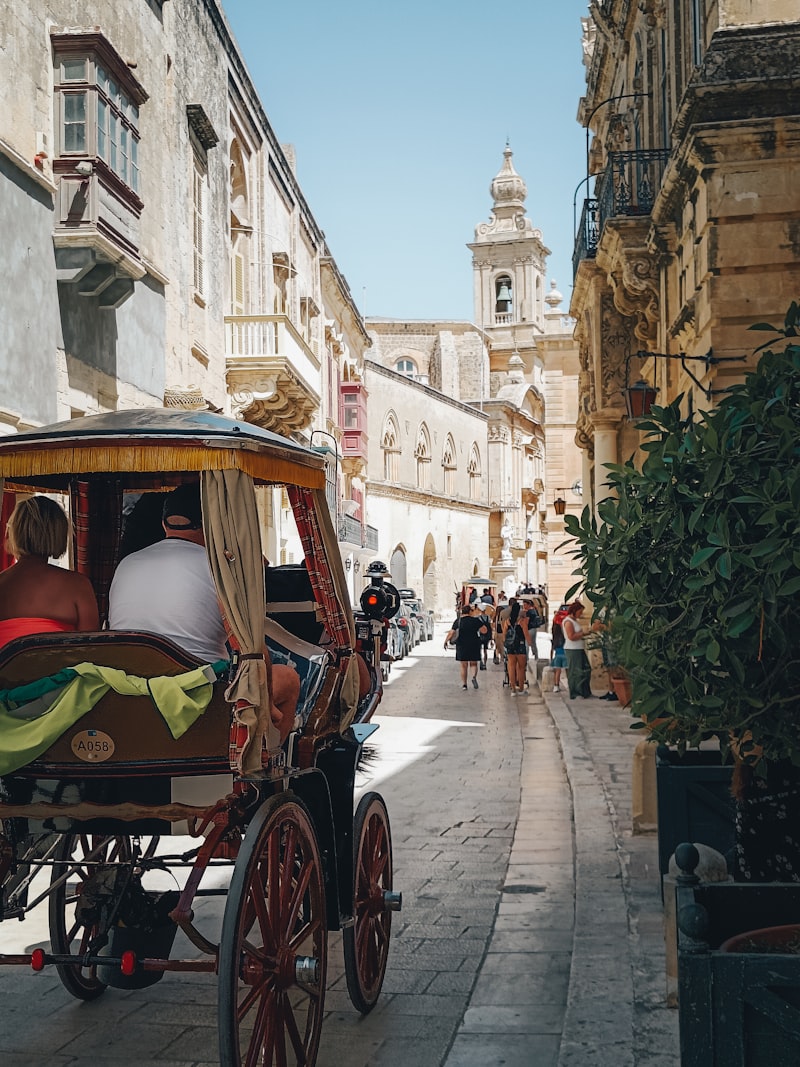 Malta eriği muşmula aynı mı?