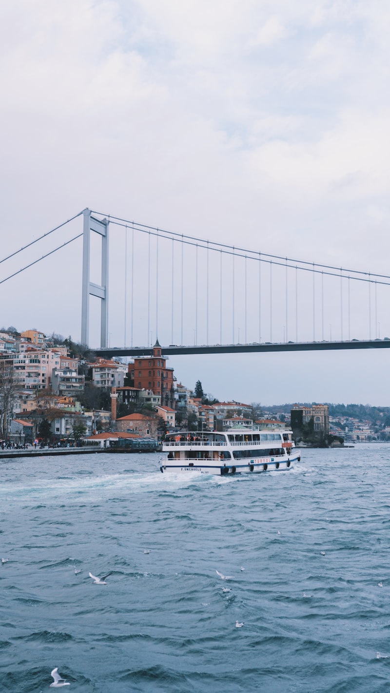 Mehmet Akif Ersoy hangi alanda hizmet etmis?